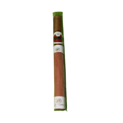 CYG.FLOR DE COPAN DEMI TASSE